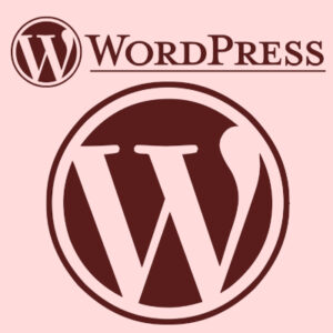 Vous souhaitez créer ou administrer un site Internet, je peux vous former sur le logiciel WordPress, le plus populaire au monde.